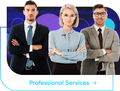 Professional Services