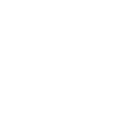 icons8 aws logo 256